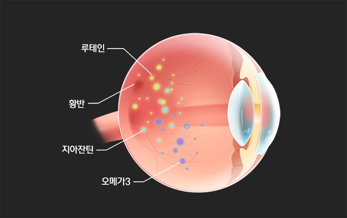 케이세라퓨틱스 건강한 눈과 시력 유지하기 포스파티딜세린 뉴로아쿠아6